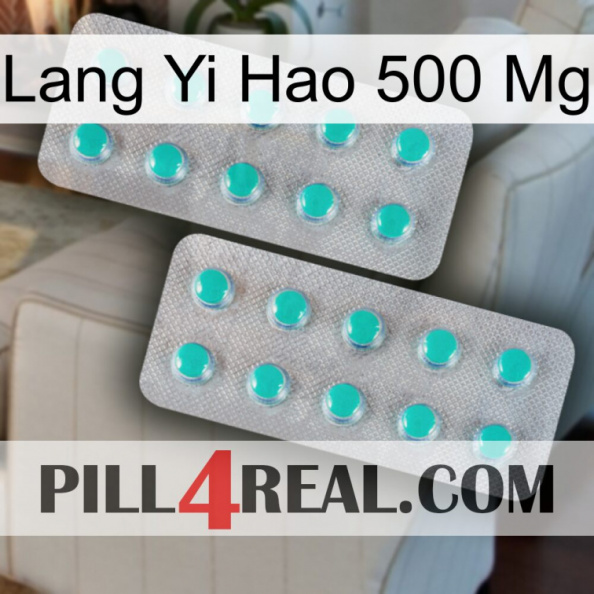 Lang Yi Hao 500 Mg 29.jpg